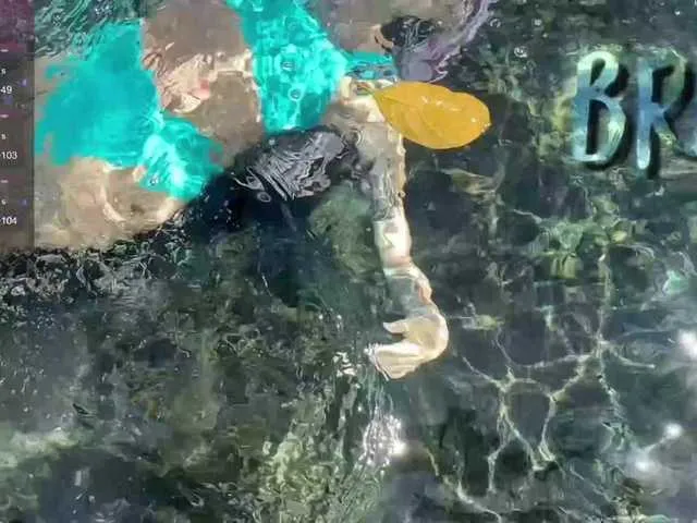 Offline Anuskatz on BongaCams