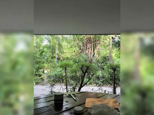 Freechat Tvoyasamka77 on BongaCams