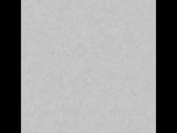 littlelaksmi model from cb