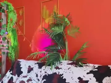 Freechat soft_animal on Chaturbate