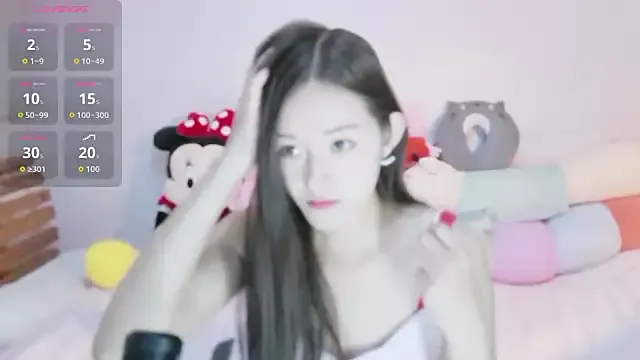 baozi-DDET model from sc