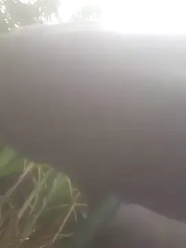 Freechat bree-zz on StripChat